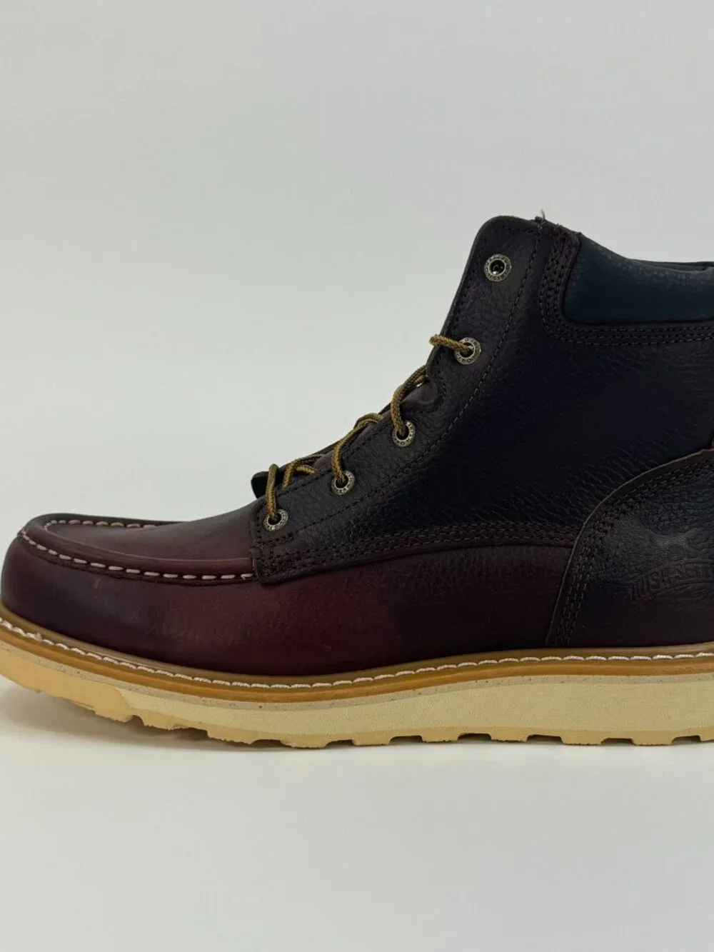 Irish Setter Ashby 6